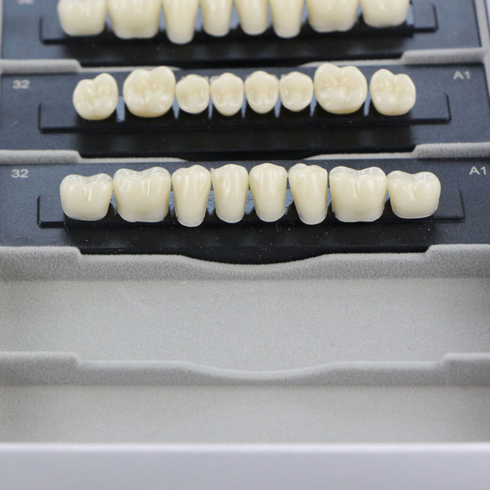 4/12/16sets /box Dental Resin  - đánh giá và giá Resin Art Case