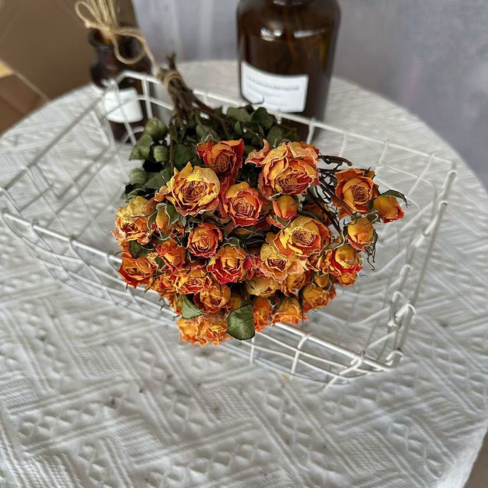 Real Preserved Roses Dried Flo - đánh giá và giá Resin Art Rose