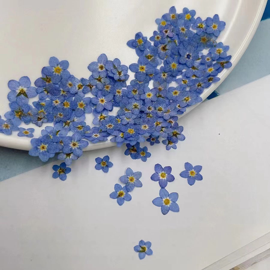 60pcs Mini Pressed Dried Flowe - đánh giá và giá Resin Art Case